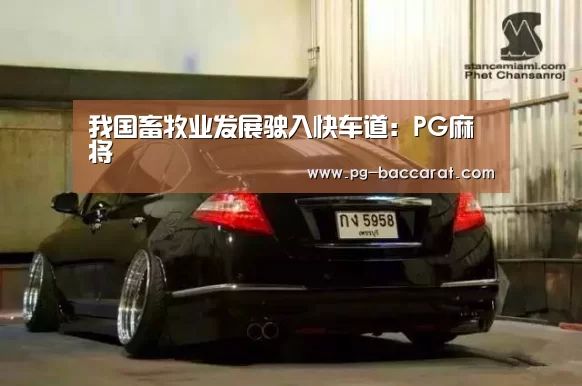 我国畜牧业发展驶入快车道:PG麻将(图2) PG电子