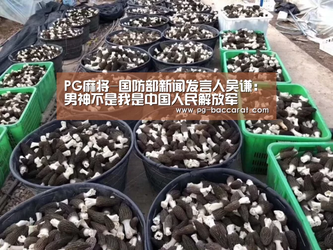 PG麻将-国防部新闻发言人吴谦:男神不是我是中国人民解放军