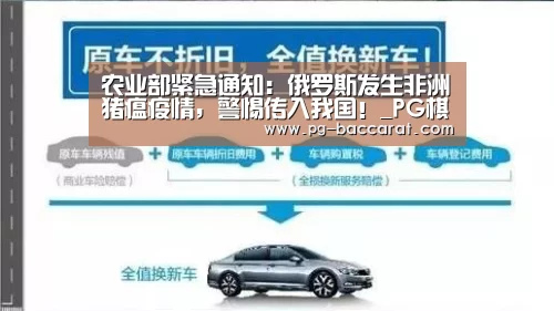 农业部紧急通知:俄罗斯发生非洲猪瘟疫情,警惕传入我国!_PG棋牌(图1) PG棋牌
